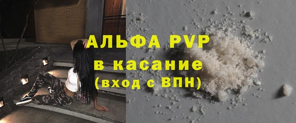 дживик Майский