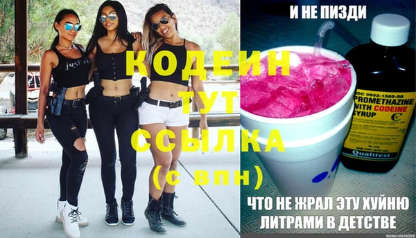 дживик Майский