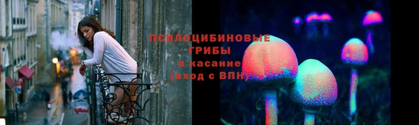 прущая мука Магас