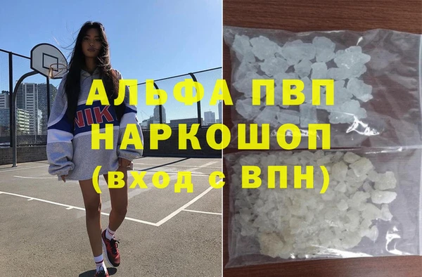 дживик Майский