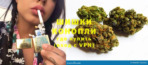 дживик Майский